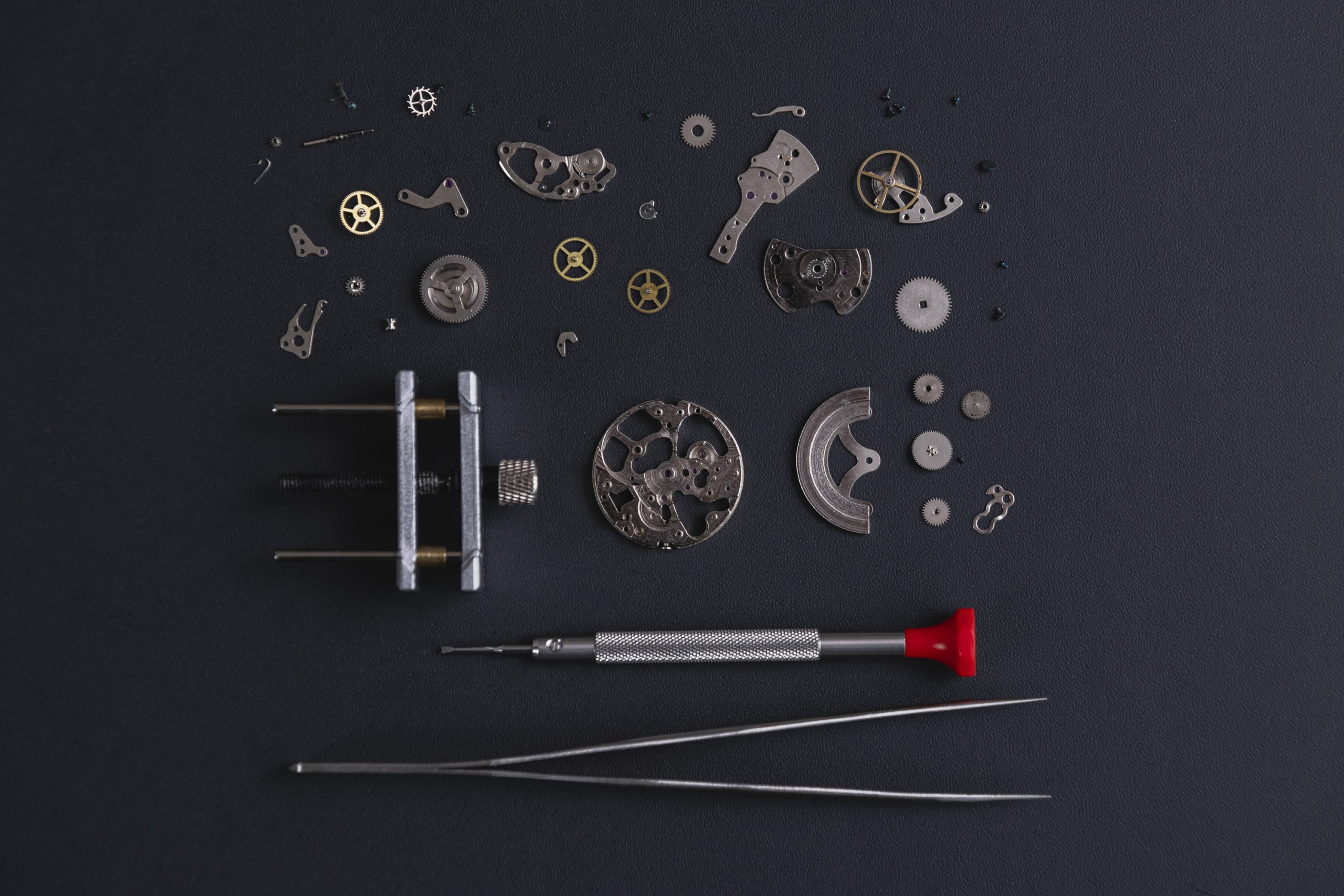 Mechanical Watch Movement Exploration Kit - Image 2