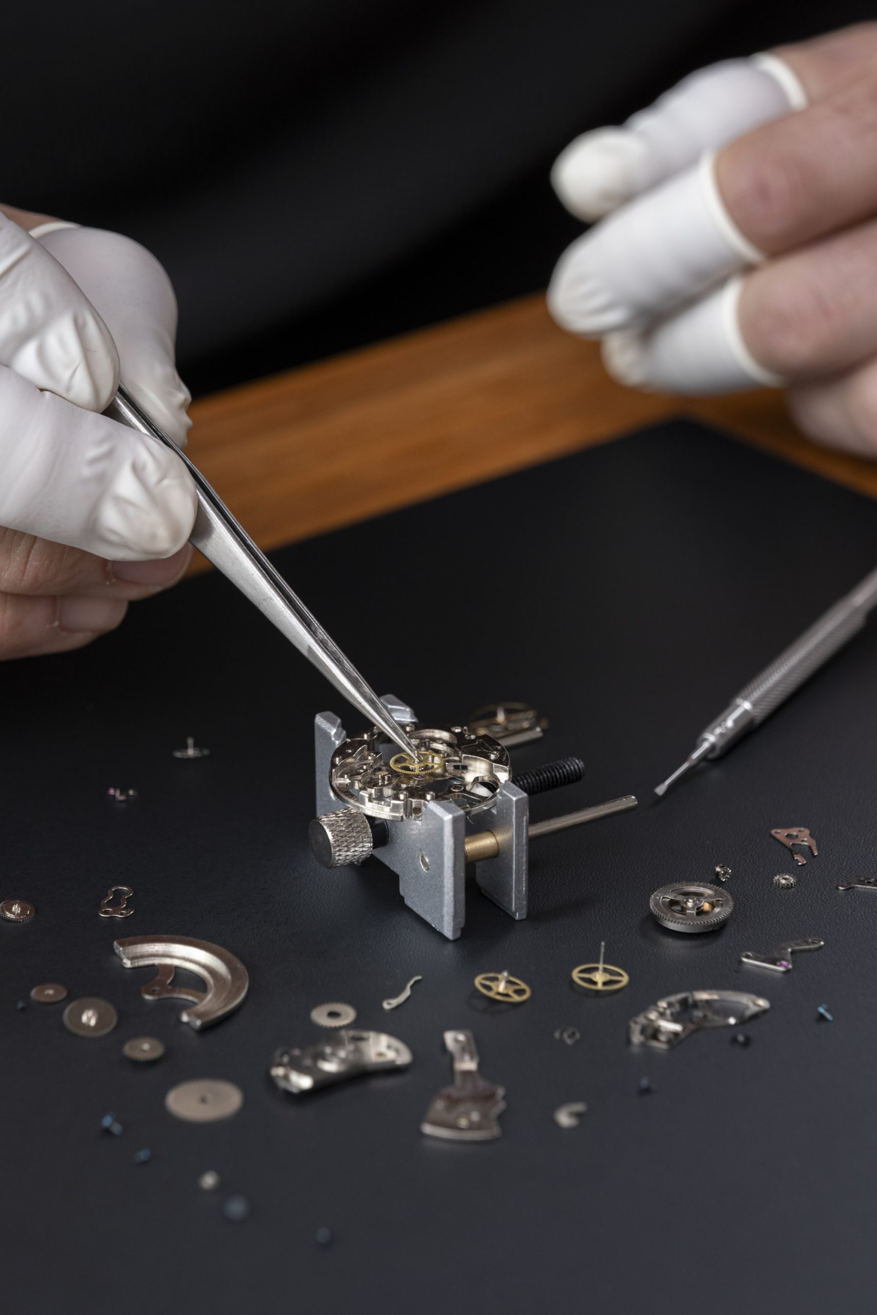 Mechanical Watch Movement Exploration Kit - Image 5